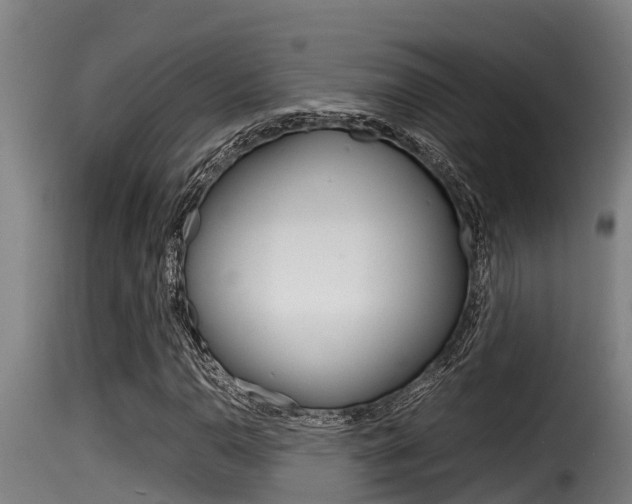 X0000116101110200911230926