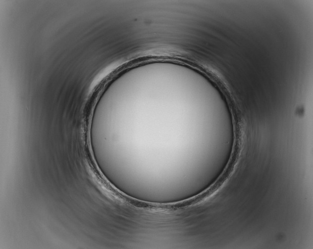 X0000116101114200911230926