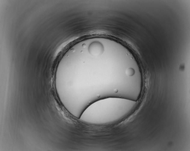 X0000116101117200911230926