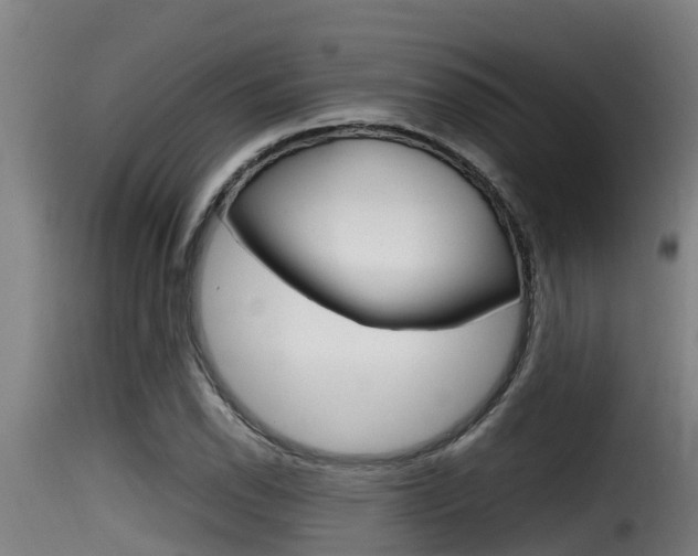 X0000116101118200911230926