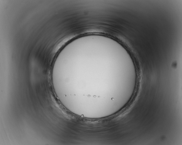 X0000116101121200911230926