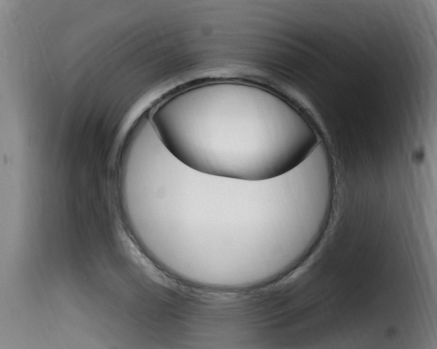 X0000116101122200911230926