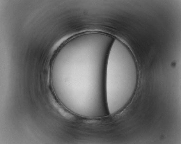 X0000116101127200911230926