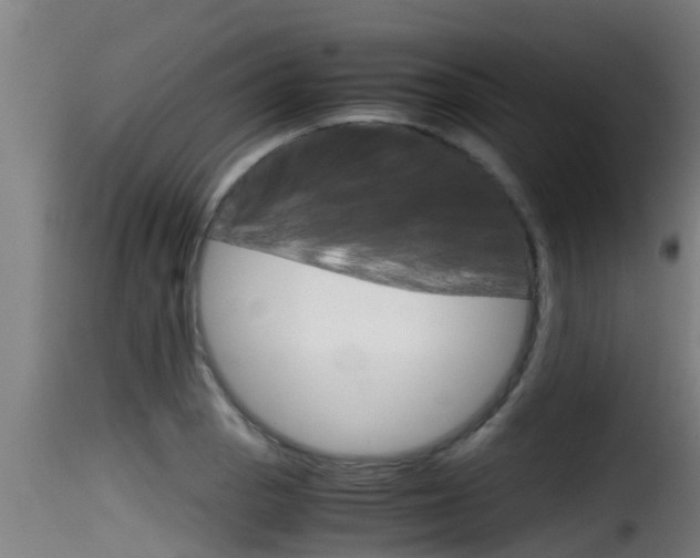 X0000116101129200911230926