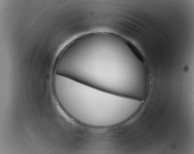 X0000116101134200911230926
