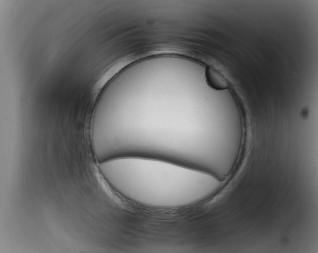 X0000116101137200911230926