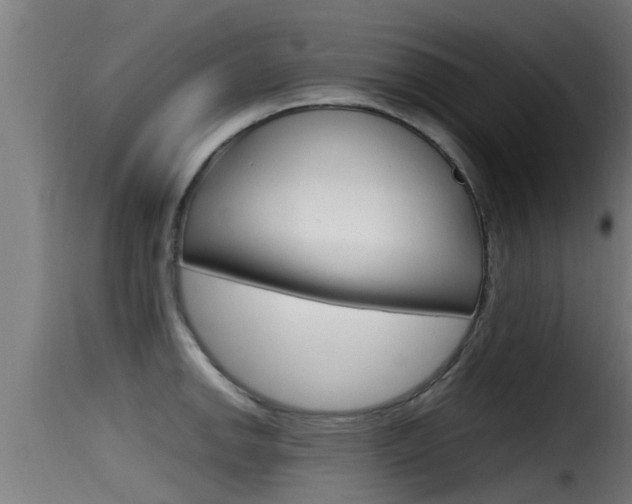 X0000116101142200911230926