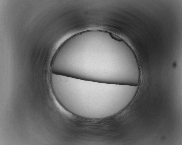 X0000116101143200911230926