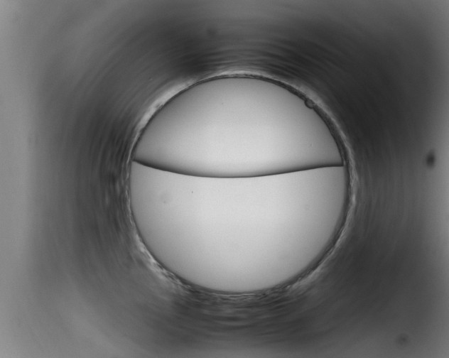 X0000116101145200911230926