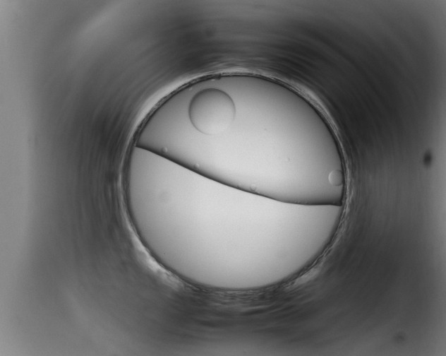 X0000116101149200911230926