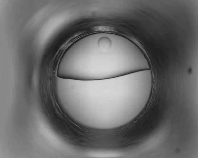 X0000116101151200911230926