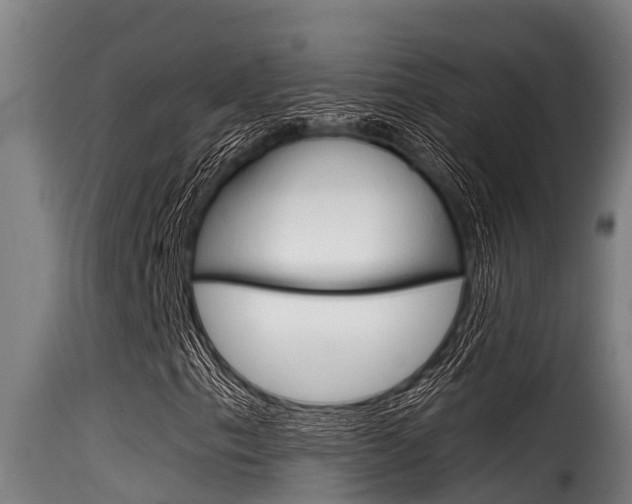 X0000116101153200911230926