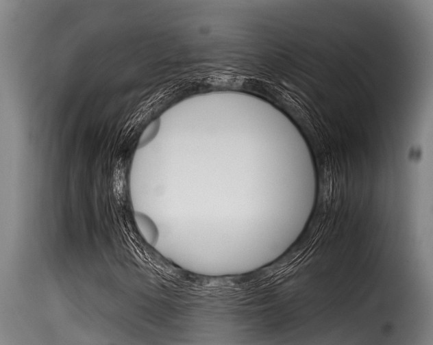 X0000116101154200911230926