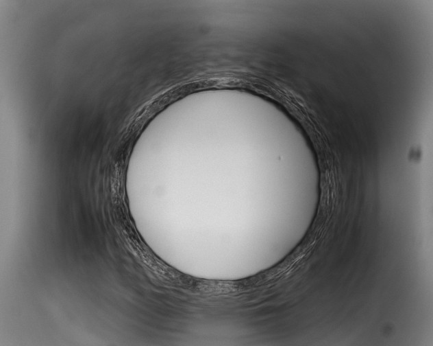 X0000116101158200911230925