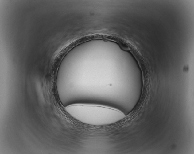 X0000116101159200911230925