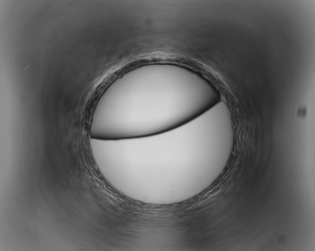 X0000116101160200911230925