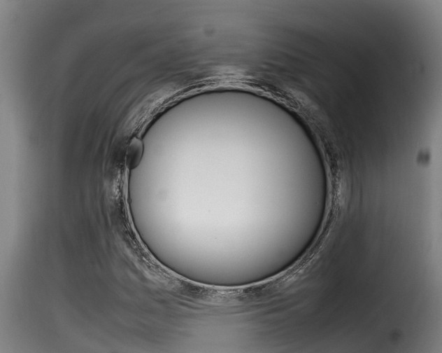 X0000116101161200911230925