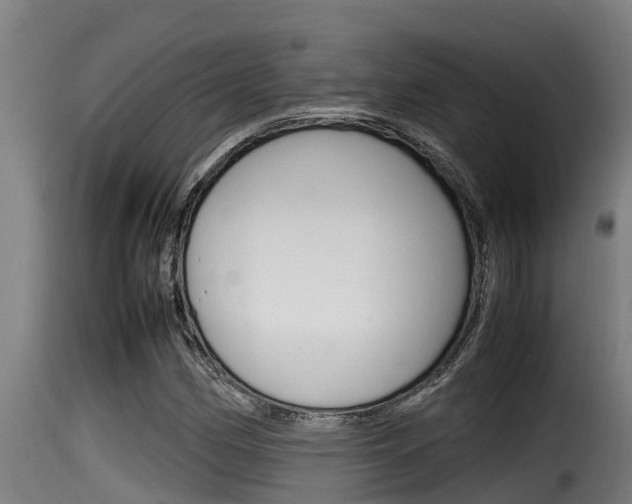 X0000116101162200911230925