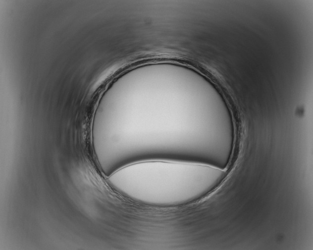 X0000116101163200911230925