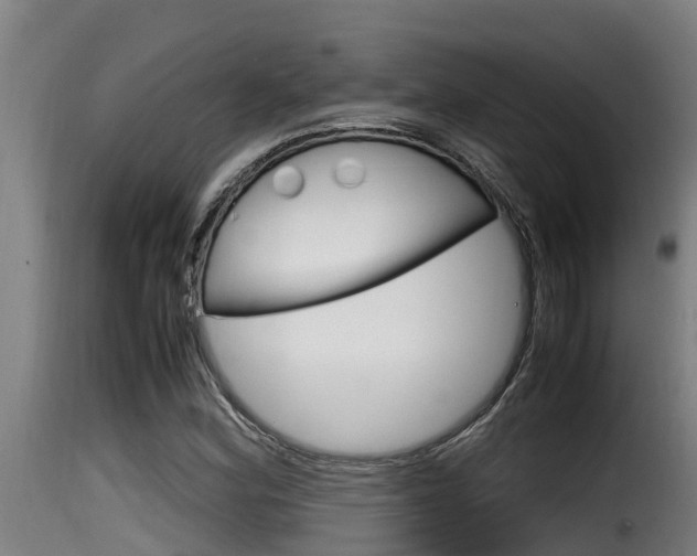 X0000116101164200911230925