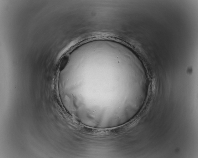 X0000116101165200911230925