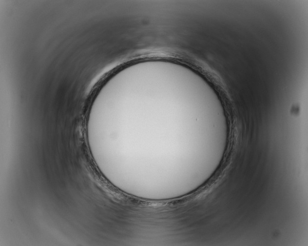 X0000116101166200911230925