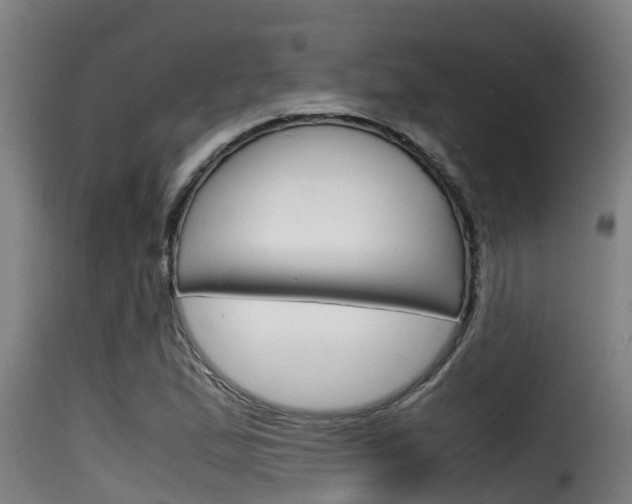 X0000116101167200911230925