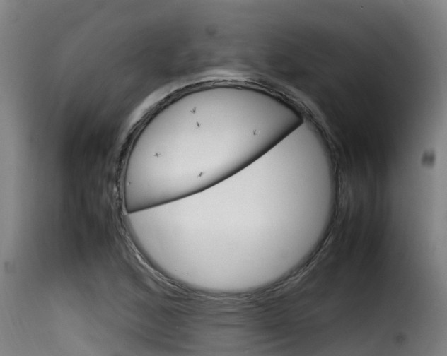 X0000116101168200911230925