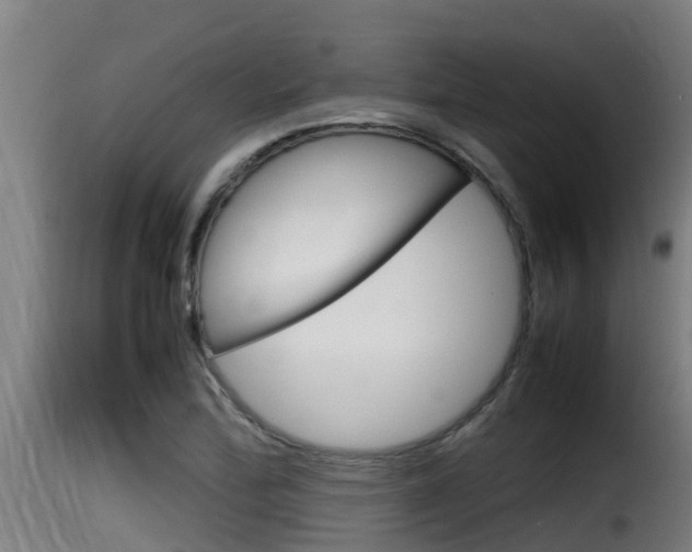 X0000116101172200911230925