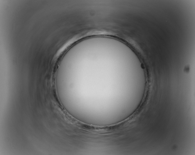 X0000116101173200911230925