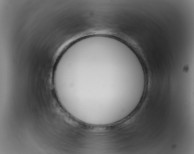 X0000116101174200911230925