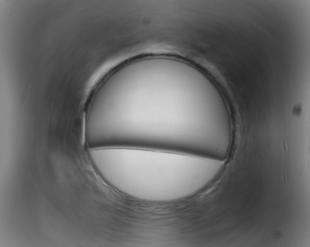 X0000116101175200911230925