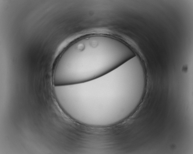 X0000116101176200911230925