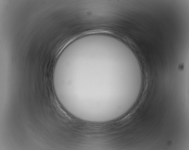 X0000116101177200911230925