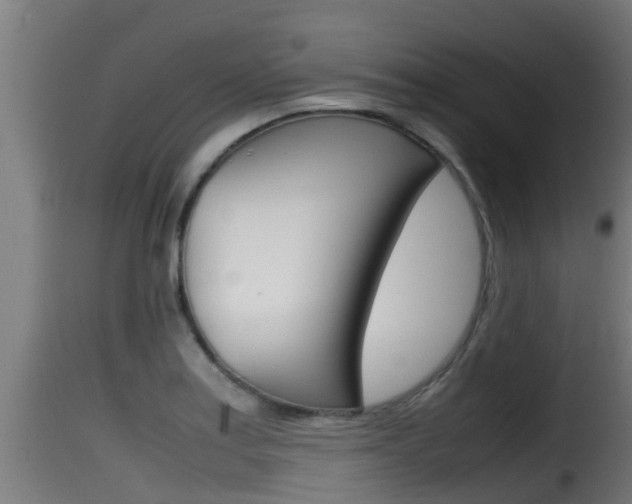 X0000116101179200911230925