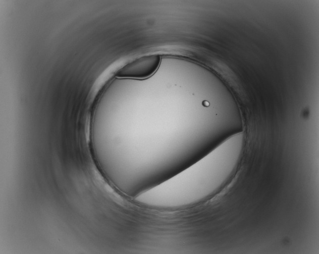X0000116101180200911230925