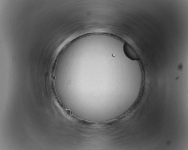 X0000116101181200911230925