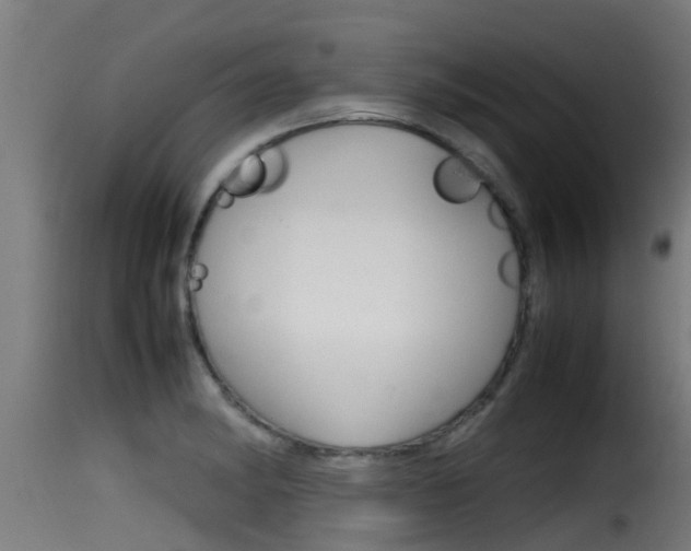 X0000116101182200911230925