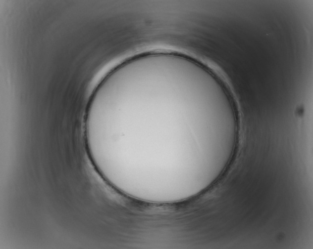 X0000116101183200911230925