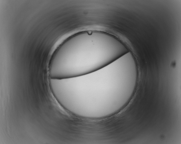 X0000116101184200911230925