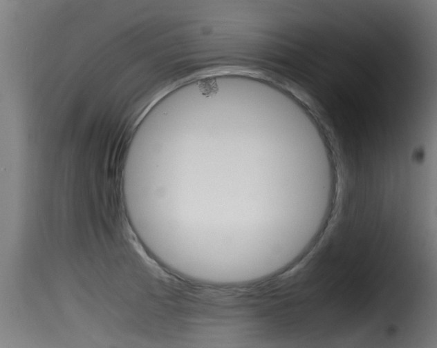 X0000116101185200911230925