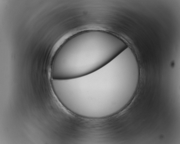 X0000116101188200911230925
