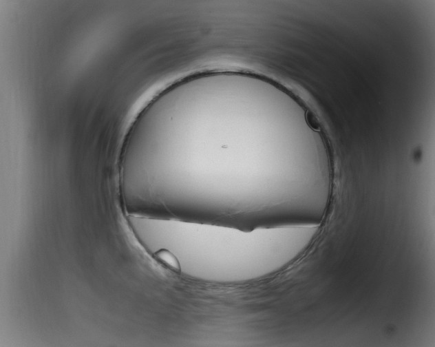 X0000116101191200911230925