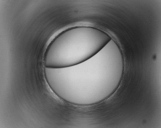 X0000116101192200911230925