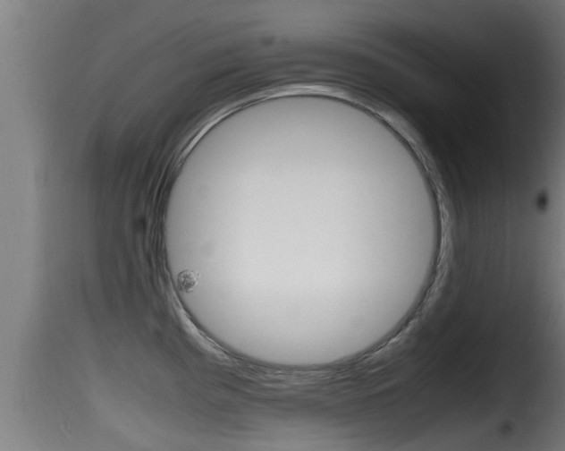 X0000116101193200911230925