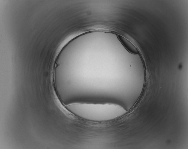 X0000116101195200911230925