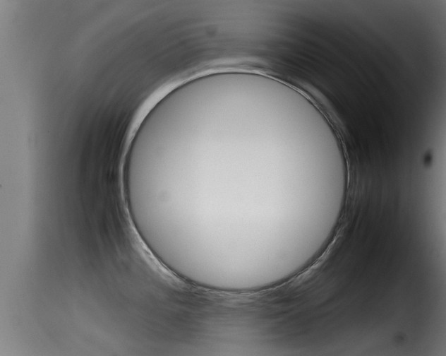 X0000116101196200911230925