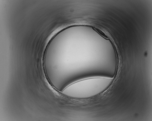 X0000116101197200911230925
