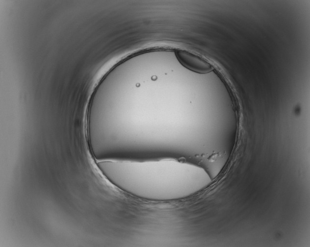 X0000116101199200911230925