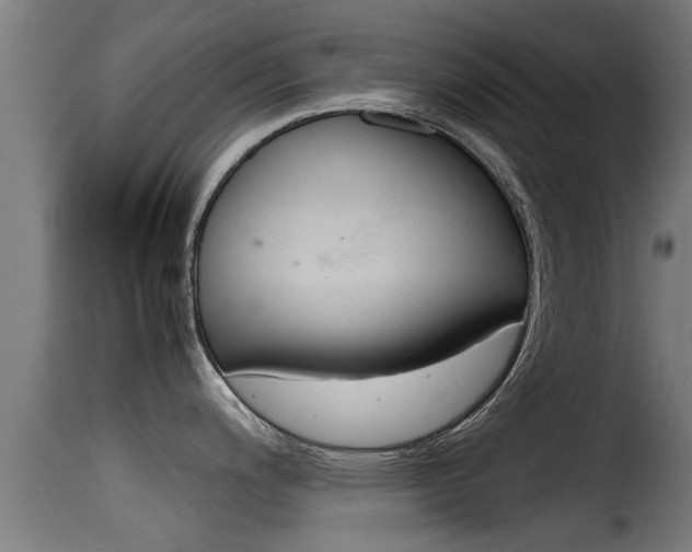 X0000116101200200911230925